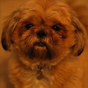 Meet your Posher, Mikayla